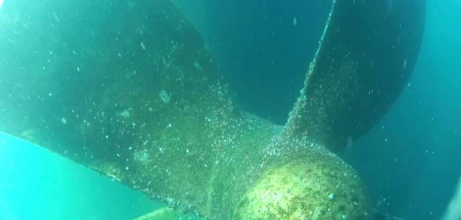 Marine Survey Operation 39
