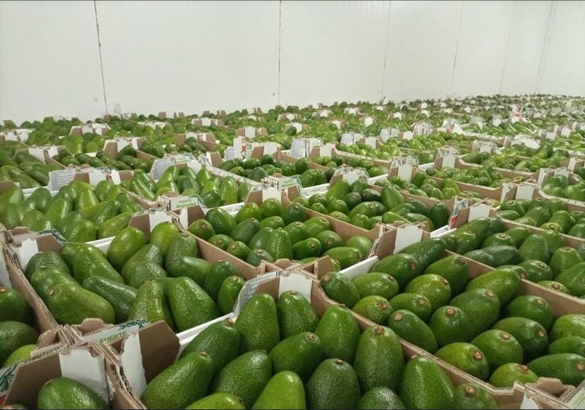 Pre-Shipment Inspections (PSI)